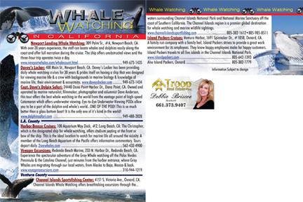 Los Angeles Keep'em Card sample postcard